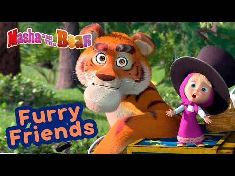 download kartun marsha and the bear mp4 download kartun marsha and the bear mp4