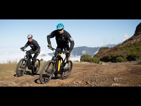 BESV TRB1 - Move Like a Tiger