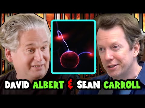 Decoherence and The Many-Worlds Theory of Quantum Mechanics | David Albert & Sean Carroll
