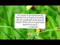 Sheikh Saadi Quotes Deen Ki Achchhi Batein Insaniyat Aur Islam