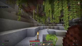 [Minecraft]リハビリでやってく
