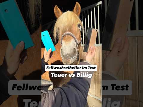 Fellwechselhelfer im Test 🐴