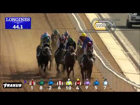 2016 Godolphin Mile - One Man Band
