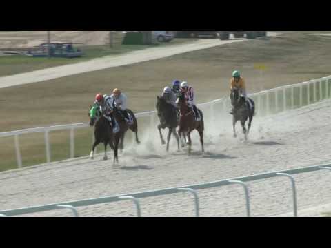 2017.08.06. 3. futam - MEGKAPÓ HENDIKEP (III.o.) (szintetikus pálya)