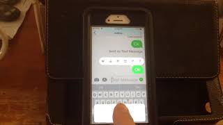 How to  do copy and  paste in a text message on a iphone