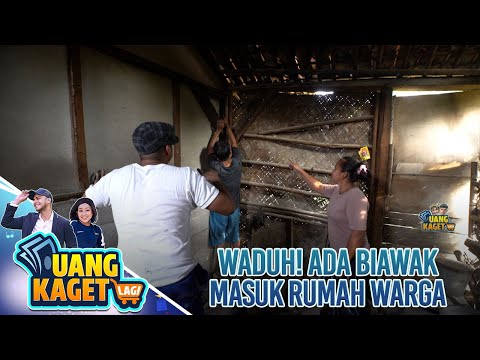 WADUH! ADA BIAWAK MASUK RUMAH WARGA - UANG KAGET LAGI