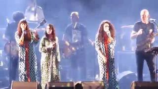 A-WA & Balkan Beat Box - Habib Galbi | 2016