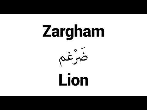 How to Pronounce Zargham! - Middle Eastern Names