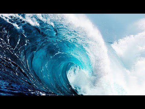 Monkey World Junior Tsunami!