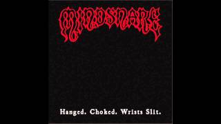 Music video thumbnail preview for Mindsnare - Died At Birth by Mindsnare