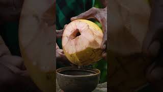 Download lagu Manfaat Air Kelapa & Santan untuk Gastrik mp3 Download lagu Manfaat Air Kelapa & Santan untuk Gastrik mp3