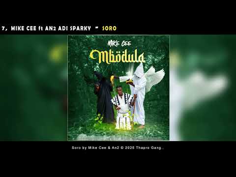 MIKE CEE - SORO feat AN2 ADI SPARKY (Official Audio)