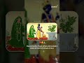 Tulshi Vivah Status Jay Dwarkadhish Status