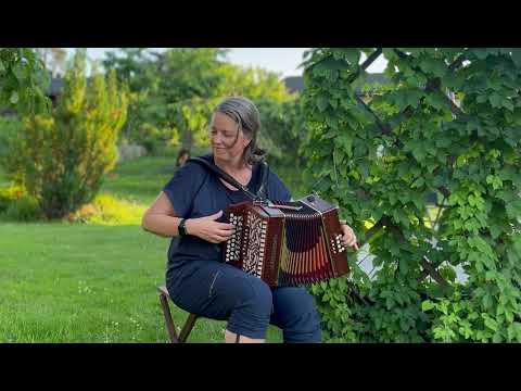 Ingunn Bjørgo - Håkans irska (I.Bjørgo)