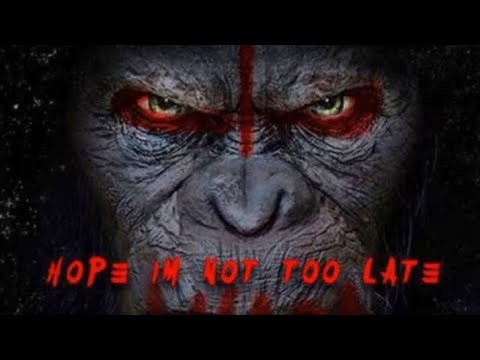 co Gotti LLOSAMA Ft. T Rell Fast