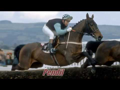 Top 25 Greatest 2m Chasers