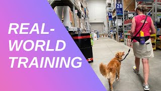 Make the Most of Indoor Summer Training