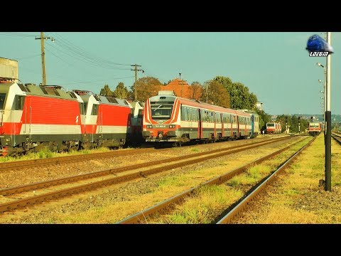 Trenuri in Gara Episcopia Bihor/Trains in Episcopia Bihor Station - 02 September 2018