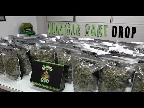 Jungle Cake Drop!