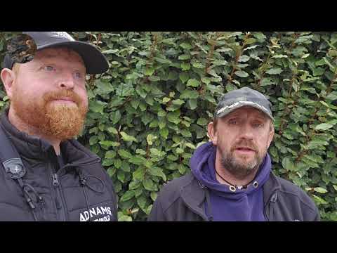 MigFest Day 2 | Arctic Skua, Red-necked Phalarope & Pink-footed Geese