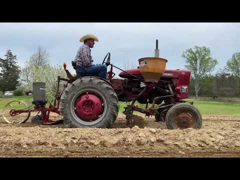 Planting Sweet  Corn