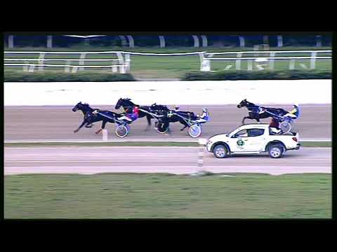 Trotto 23/10/2020 - 2ª corsa