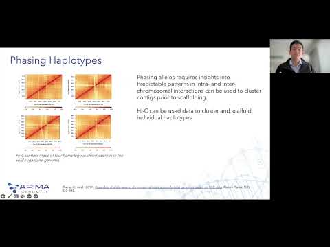 Achieving Chromosome-Scale Assemblies with Arima Hi-C