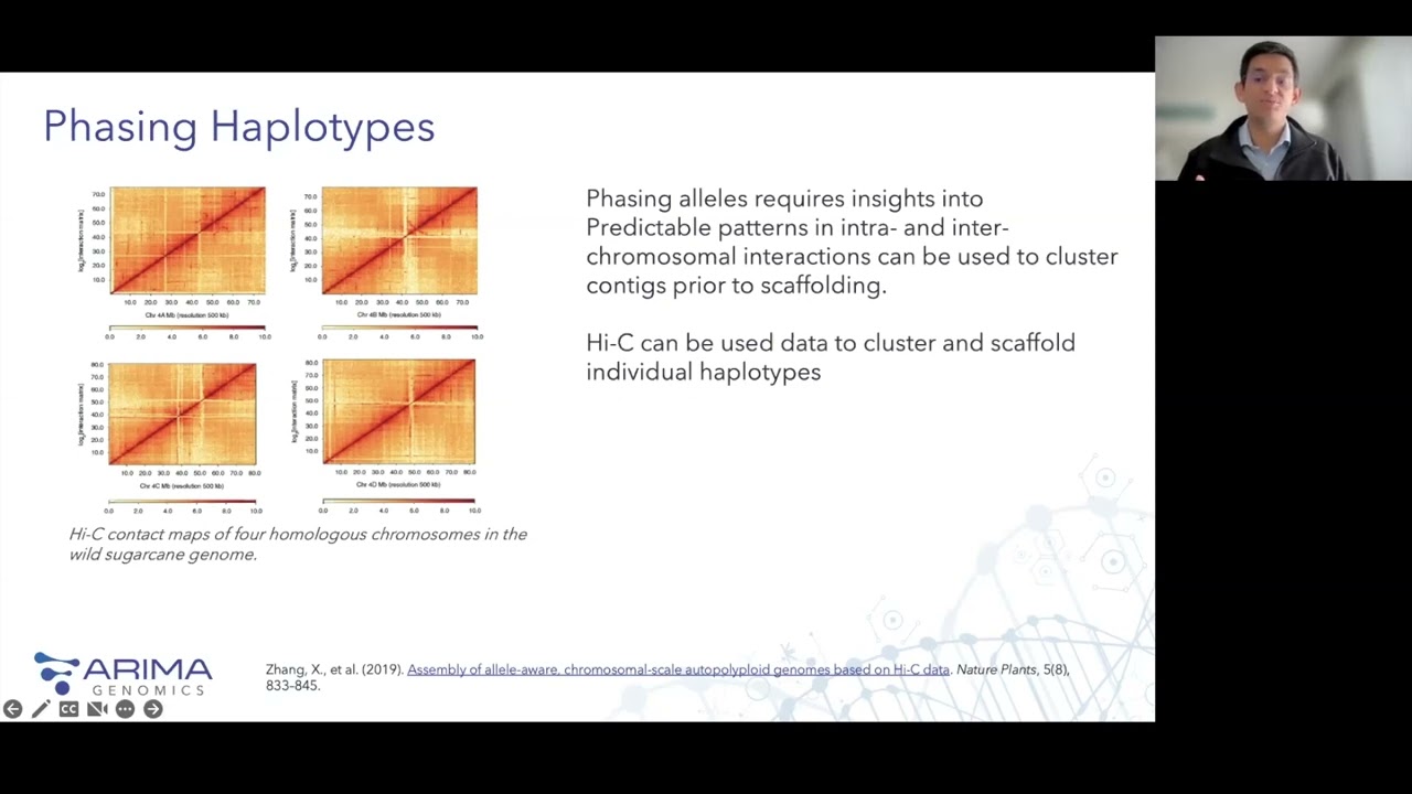 Achieving Chromosome-Scale Assemblies with Arima Hi-C