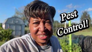 KILL Pests and MAXIMIZE Your Harvest!