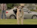 Subaru "Dream Weekend" commercial, extended 90 second edition