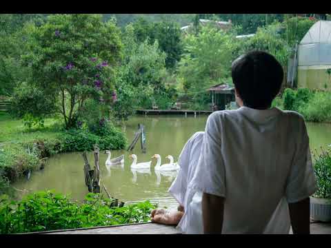 Bàn chân trên đất mẹ - Hồ Nhật Hà