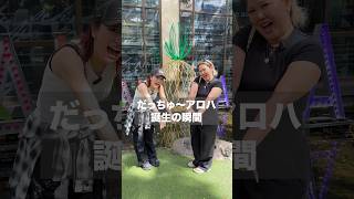 アロハの裏側