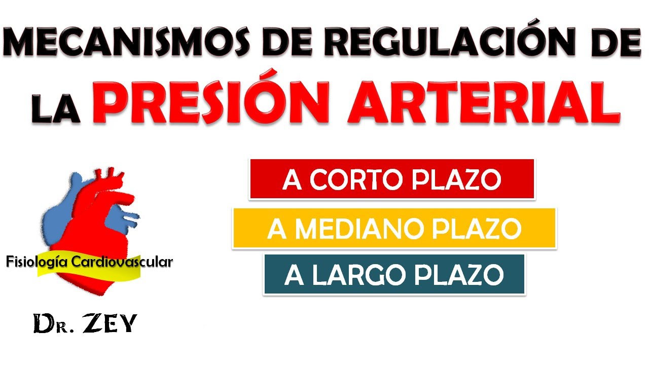 MECANISMOS DE REGULACIÓN DE LA PRESIÓN ARTERIAL.