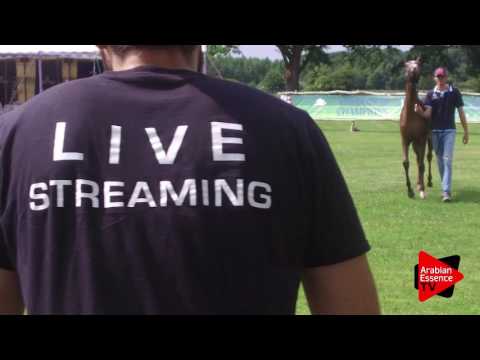 Strohen 2017 - We Are Here!!