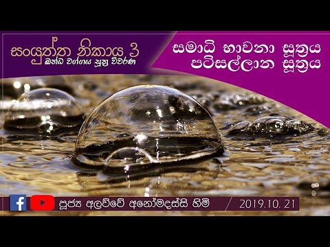 සමාධි භාවනා සූත්‍රය, පටිසල්ලාන සූත්‍රය ( 2019.10.21)