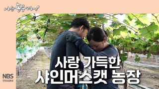[나는농부다 314회] 사랑 가득한 샤인머스캣 농장