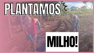 Plantando MILHO! Roando com Eliane