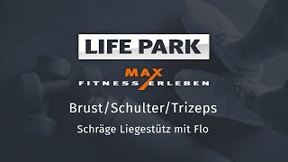 Training mit Flo 11 – Brust/Schulter/Trizeps – Schräge Liegestütz