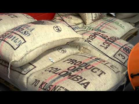 download lagu mp3 mp4 South Carolina Coffee Roasters, download lagu South Carolina Coffee Roasters gratis, unduh video klip South Carolina Coffee Roasters