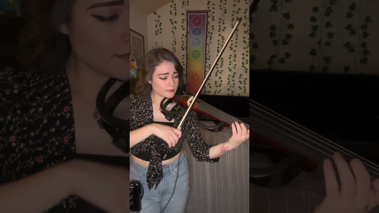 Promotional video thumbnail 5 for Echo Chamber Ensemble
