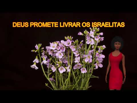 ÊXODO 6 - DEUS PROMETE LIVRAR OS ISRAELITAS