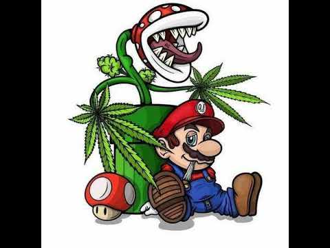 Rasta - Legalizuj (cover by stevan (major kriger))