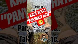 Download lagu Panyakit Haté #doelsumbang #lagusunda #motivasi #laguviral #laguviraltiktok  #lagusunda2025 #beranda mp3
