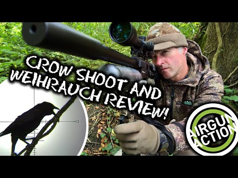Luftgewehr-Action | Krähenjagd mit dem FX Impact MkII | Weihrauch HW110 Luftgewehr Test