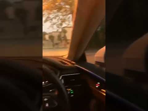 AUDI A4 🔥😙INTERIOR