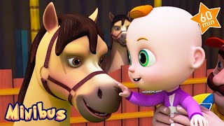 Baby plays with Horses - 1h Compilation Nursery Rhymes with Animals & Kids Songs | Minibus