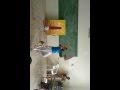 Tamil Solo Folk Dance