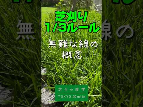 芝生の上に砂を敷く理由：知っておくべきこと！  庭園