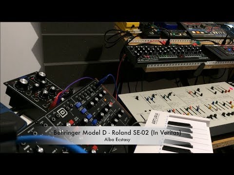 Behringer Model D - Roland SE-02 (In Veritas)