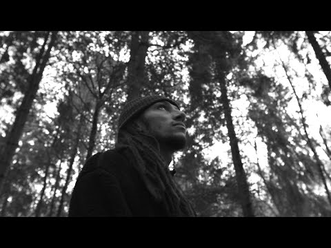 LUKAS LION - Pure Lyrical (Official Music Video)